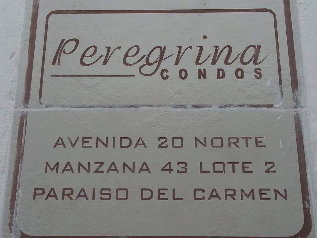 Vida Nueva Bed&Breakfast Peregrina 普拉亚卡门 外观 照片